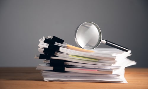 Audit as an Opportunity for Growing Companies