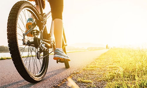 La roue de la résilience