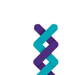 Corporate governance report 2016