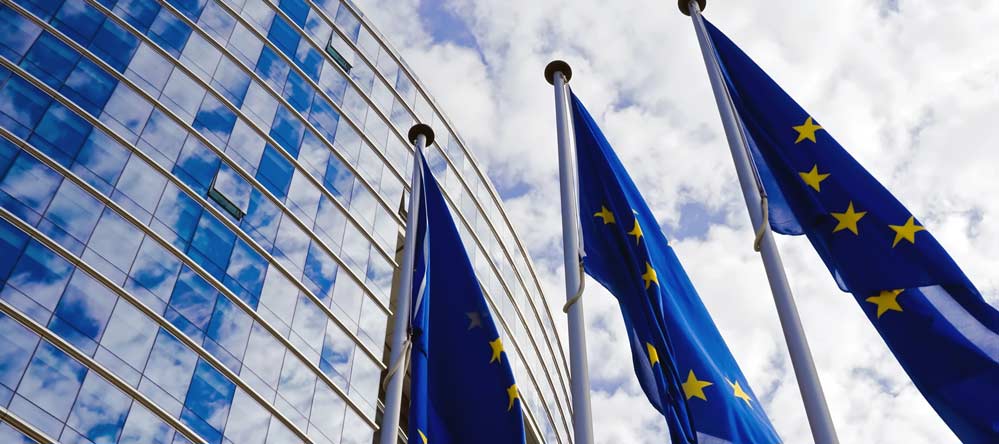 insight featured image