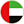 UAE Flag